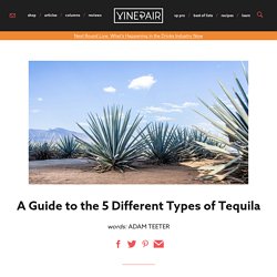 What's The Difference Between Anejo, Reposado, Blanco & Silver Tequila?