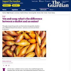 Yin and yang: what's the difference between a shallot and an onion?