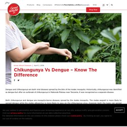 Difference Between Signs & Symptoms of Dengue and Chikungunya Fever