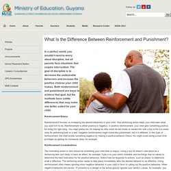 What Is the Difference Between Reinforcement and Punishment?