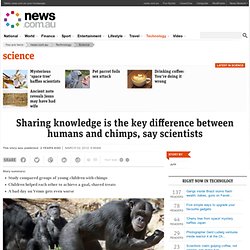 Sharing knowledge is the key difference between humans and chimps, say scientists