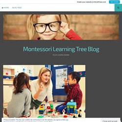 The Key Differences Between Montessori and Traditional Childcare centre – Montessori Learning Tree Blog