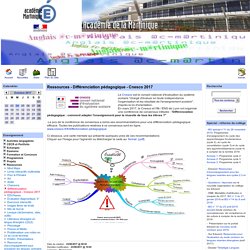 Ressources - Différenciation pédagogique - Cnesco 2017