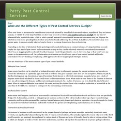 What are the Different Types of Pest Control Services Guelph? - Petty Pest Control Services