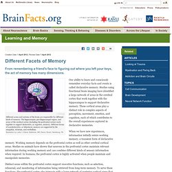 Different Facets of Memory