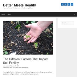 The Different Factors That Impact Soil Fertility - Better Meets Reality