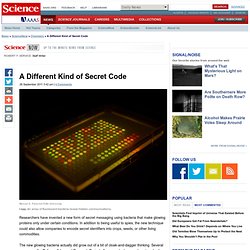 A Different Kind of Secret Code