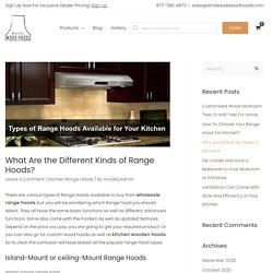 What Are the Different Kinds of Range Hoods? - Wholesale Wood Hoods