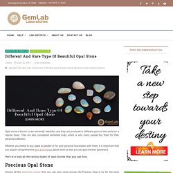 Different And Rare Type Of Beautiful Opal Stone – GemLab Laboratories