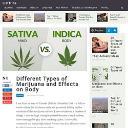 Different Types of Marijuana and Effects on Body - ListTribe