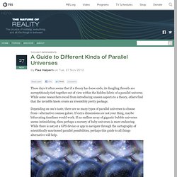 A Guide to Different Kinds of Parallel Universes « NOVA's Physics Blog: The Nature of Reality