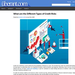 What are the Different Types of Credit Risks