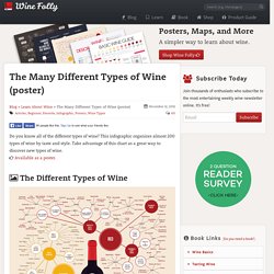 The Different Types of Wine (Infographic)