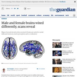 Male and female brains wired differently, scans reveal