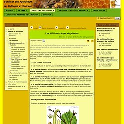 Les différents types de plantes - [Syndicat des Apiculteurs de Mulhouse et Environs]