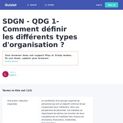 SDGN - QDG 1- Comment définir les différents types d'organisation ? Flashcards