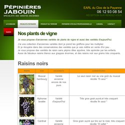 Les différents plants de vigne des Pépinieres Jabouin