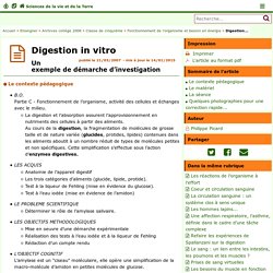TP Digestion in vitro - SVT Académie de Poitiers