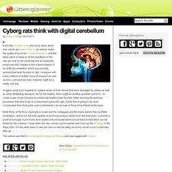 Cyborg rats think with digital cerebellum