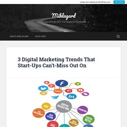 3 Digital Marketing Trends That Start-Ups Can’t-Miss Out On – Miklagard