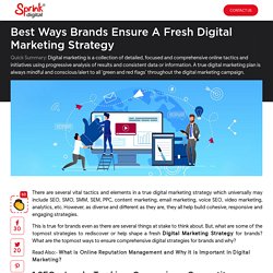 Top 5 Ways Brands Can Shape a Fresh Digital Marketing Strategy