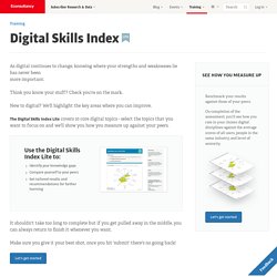 Digital Skills Index Lite