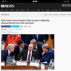 Fake news, hoax images: How to spot a digitally altered photo from the real deal - Science News - ABC News