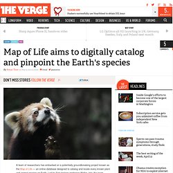 Map of Life aims to digitally catalog and pinpoint the Earth's species