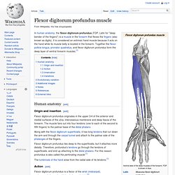 Flexor digitorum profundus muscle