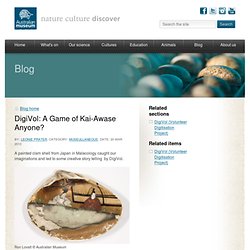 DigiVol: A Game of Kai-Awase Anyone?