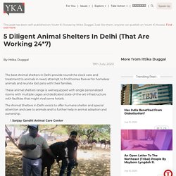 5 Diligent Animal Shelters in Delhi (that are working 24*7)