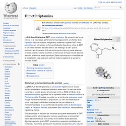 Dimetiltriptamina