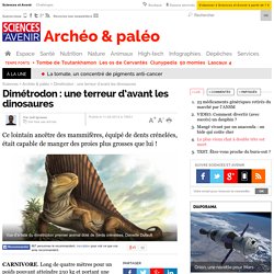 Dimétrodon : une terreur d’avant les dinosaures - 11 février 2014 - Sciences et Avenir
