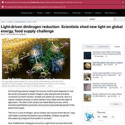 Light-driven dinitrogen reduction: Scientists shed new light on global energy, food supply challenge