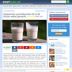 Dinkelmilch und Hafermilch für 0,30 €/Liter selbst gemacht