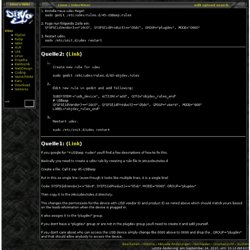 Dino's Wiki