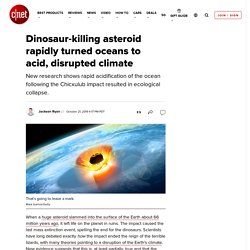 Dinosaur-killing asteroid rapidly turned oceans to acid, disrupted climate