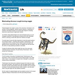 Meat-eating dinosaur caught turning veggie - life - 04 May 2005