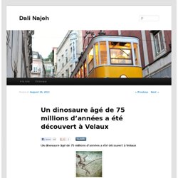 Un dinosaure âgé de 75 millions d’années a été découvert à Velaux