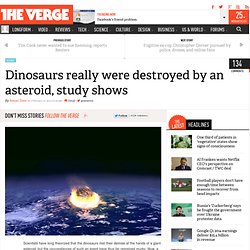 Dinosaurs really were destroyed by an asteroid, study shows