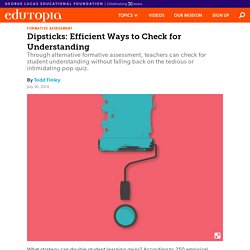 Dipsticks: Efficient Ways to Check for Understanding