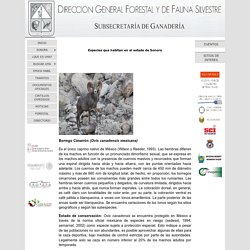 Direccion General Forestal y Fauna de Interes Cinegetico del Estado de Sonora