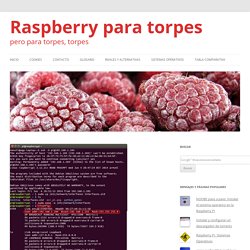 Poner la dirección IP fija en Raspbian