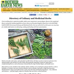 Directory of Culinary and Medicinal Herbs