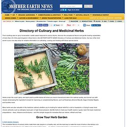 Directory of Culinary and Medicinal Herbs