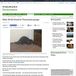 Dirty devils found in Tasmanian garage