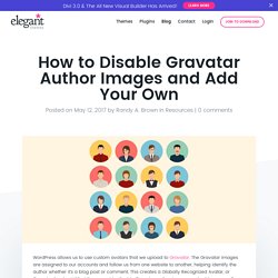 How to Disable Gravatar Author Images and Add Your Own
