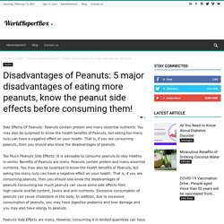 Disadvantages of Peanuts: 5 major disadvantages of eating more peanuts, know the peanut side effects before consuming them!