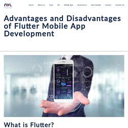 Advantages & Disadvantages of Flutter Mobile App Development