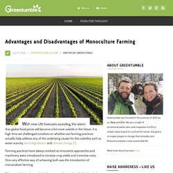 #9 Advantages and Disadvantages of Monoculture Farming